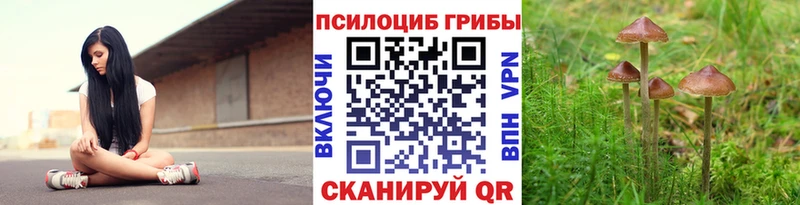 хочу наркоту  Лениногорск  Галлюциногенные грибы мицелий 